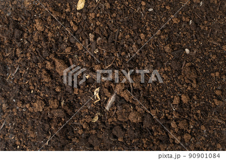 Peat Soil Texture Peat Soil Texture 90901084