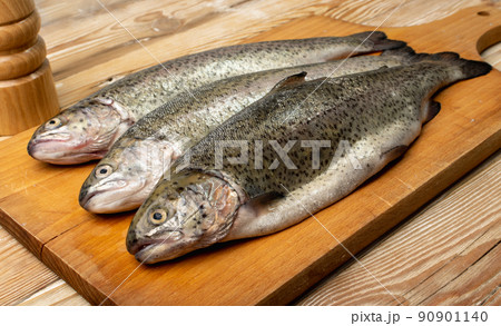 Raw Trout Isolated 90901140