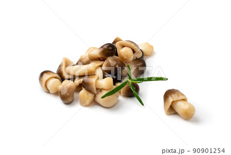 Pickled Straw Mushrooms Isolated 90901254