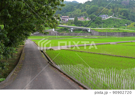 山北の田園地帯 山北の田園地帯 90902720