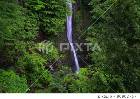森の中に佇む洒水の滝 森の中に佇む洒水の滝 90902757