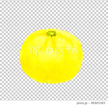柚子水果插畫手繪水彩水果插畫素材 90903365