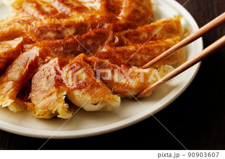 焼き餃子 焼き餃子 90903607