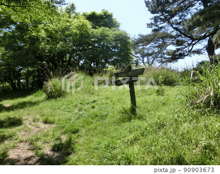 櫟山（くぬぎやま）山頂・表丹沢県民の森（神奈川県秦野市） 90903673