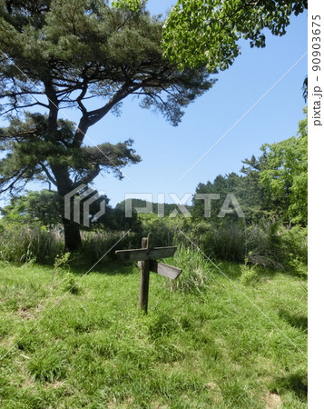 櫟山（くぬぎやま）山頂・表丹沢県民の森（神奈川県秦野市） 90903675