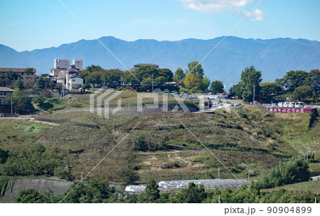 甲州市勝沼ぶどうの丘 甲州市勝沼ぶどうの丘 90904899