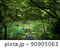 青池  90905063