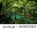 青池  90905064