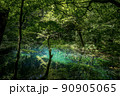青池  90905065