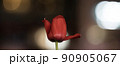 チューリップ 90905067