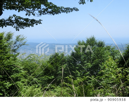 櫟山（くぬぎやま）山頂より秦野市街と太平洋（表丹沢県民の森・神奈川県秦野市） 90905938