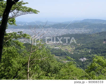 櫟山（くぬぎやま）山頂直下の展望台より秦野市街を一望（表丹沢県民の森・神奈川県秦野市） 90906559
