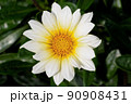 一輪の花 90908431