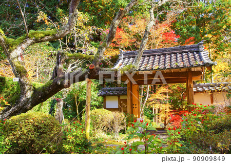 京都亀岡 神蔵寺の紅葉 京都亀岡 神蔵寺の紅葉 90909849