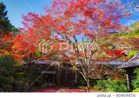 京都亀岡　神蔵寺の紅葉 90909850