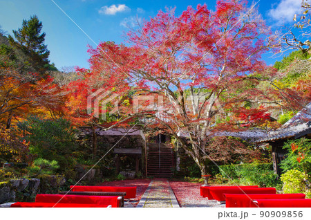 京都亀岡 神蔵寺の紅葉 京都亀岡 神蔵寺の紅葉 90909856