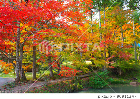 京都亀岡　龍穏寺の紅葉 90911247