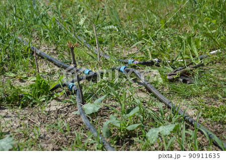 Drip irrigation system for garden watering Drip irrigation system for garden watering 90911635