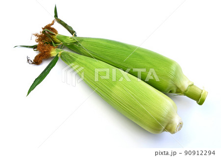 皮付きとうもろこし（ミルフィーユ） 90912294