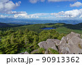 八ヶ岳　高見石から見る白駒池 90913362