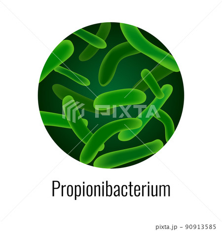 Propionibacterium Bacteria Round Composition 90913585