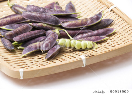 ツタンカーメンのえんどう豆　エンドウ豆　穫れたて野菜　健康野菜 90913909