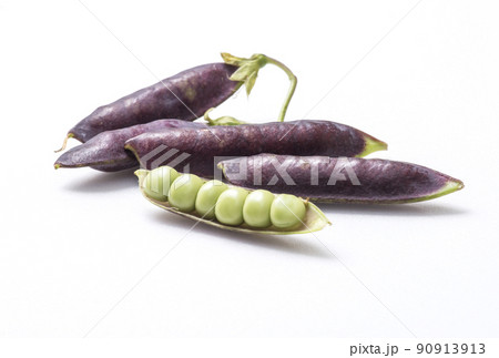 ツタンカーメンのえんどう豆 エンドウ豆 穫れたて野菜 健康野菜 ツタンカーメンのえんどう豆 エンドウ豆 穫れたて野菜 健康野菜 90913913