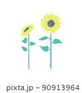 夏の風物詩　ひまわりのベクターイラスト素材 90913964