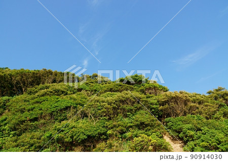 清々しい夏の青空と緑の山・210530PM 90914030