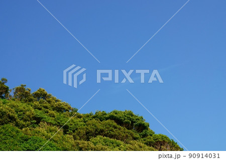 清々しい夏の青空と緑の山・210530PM 90914031