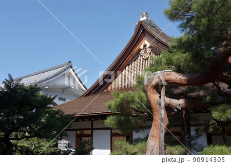大覚寺 正寝殿 京都市右京区嵯峨 大覚寺 正寝殿 京都市右京区嵯峨 90914305