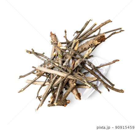 Branches Pile Isolated 90915459