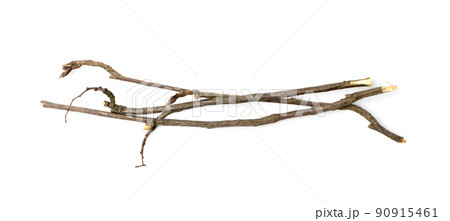 Branches Pile Isolated 90915461