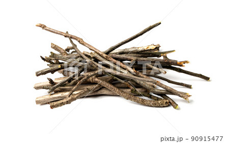 Branches Pile Isolated 90915477