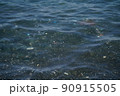 The water surface on which a lot of debris and plastic floats. 90915505