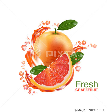 fresh grapefruit vector  90915664