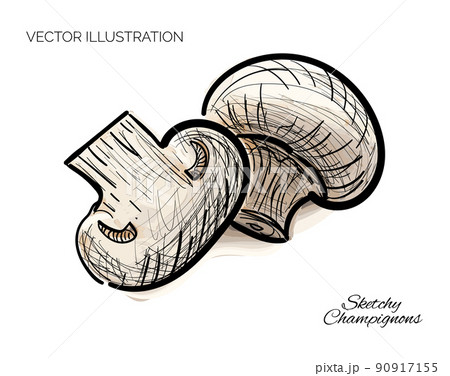 Hand Drawn Sketchy Champignons Hand Drawn Sketchy Champignons 90917155