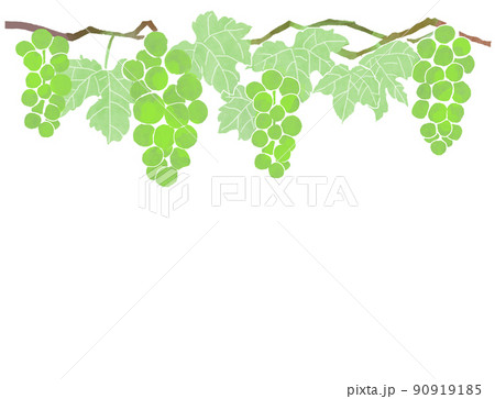 Illustration Of Muscat And Leaves Stock Illustration