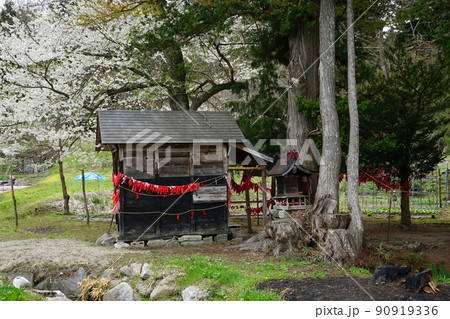 日本の原風景 遠野遺産卯子酉神社 90919336