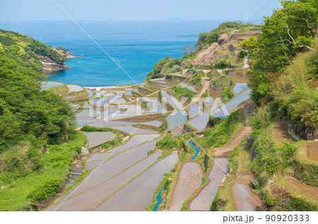 朝の浜野浦の棚田 90920333