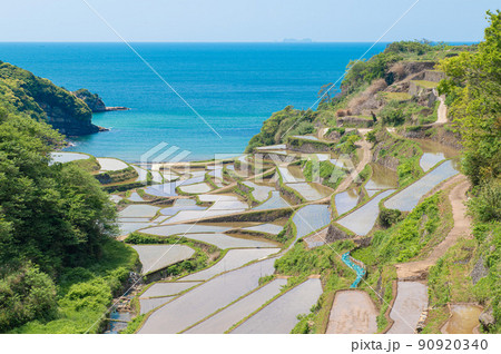 展望台から望む浜野浦の棚田 展望台から望む浜野浦の棚田 90920340