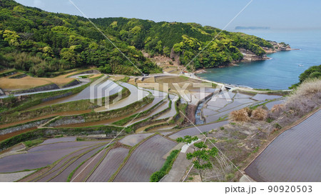 水が張られた浜野浦の棚田・ドローン撮影 90920503