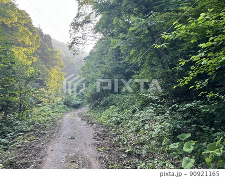 山に続く道 山に続く道 90921165