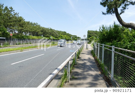 湘南海岸　国道134号線　松並木　海水浴場サザンビーチちがさき　神奈川県茅ヶ崎市（ちがさきし）   90921171