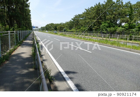 湘南海岸　国道134号線　松並木　海水浴場サザンビーチちがさき　神奈川県茅ヶ崎市（ちがさきし）   90921174