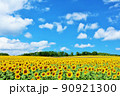 北海道　夏の青空とひまわりの風景 90921300