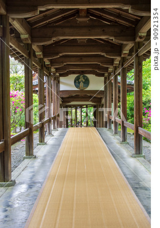 京都 嵐山 嵯峨野 天龍寺 京都 嵐山 嵯峨野 天龍寺 90921354