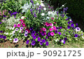 花 90921725