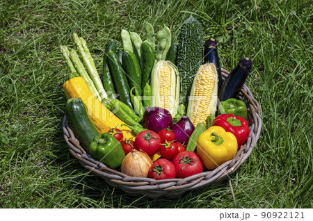 カゴに盛った夏野菜 90922121