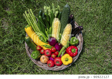 カゴに盛った夏野菜 90922127